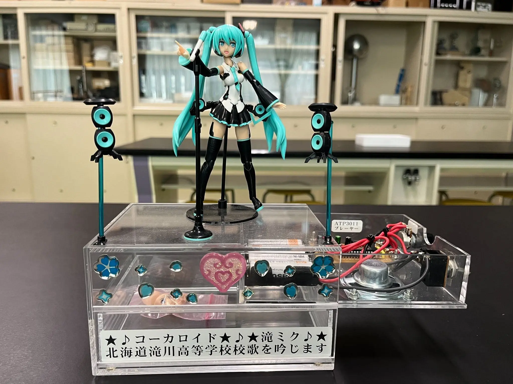 コーカロイド